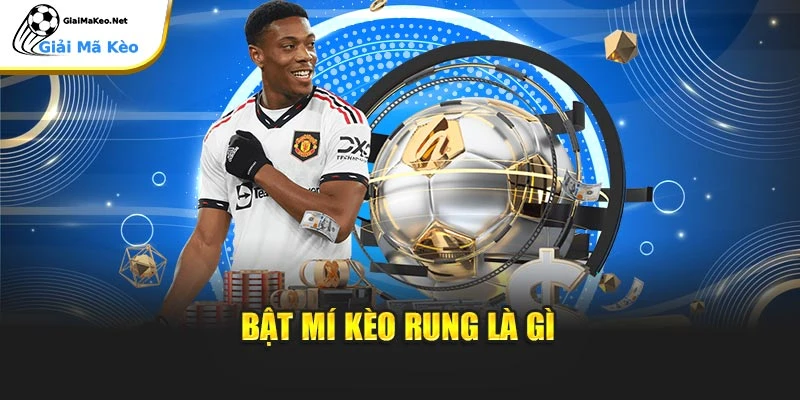 Bật mí kèo rung là gì