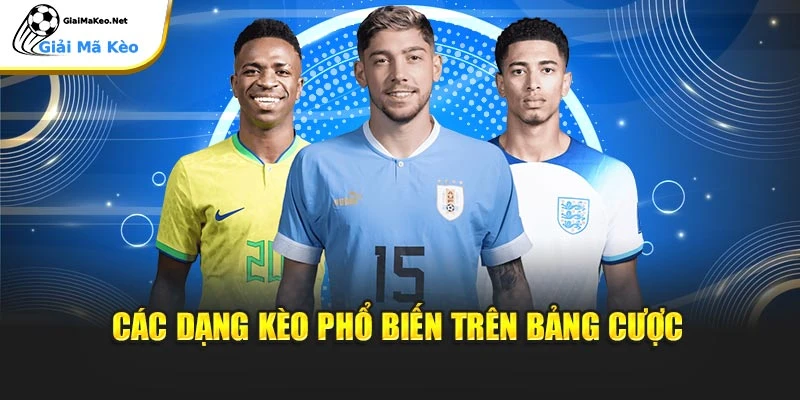 Các dạng kèo phổ biến trên bảng cược