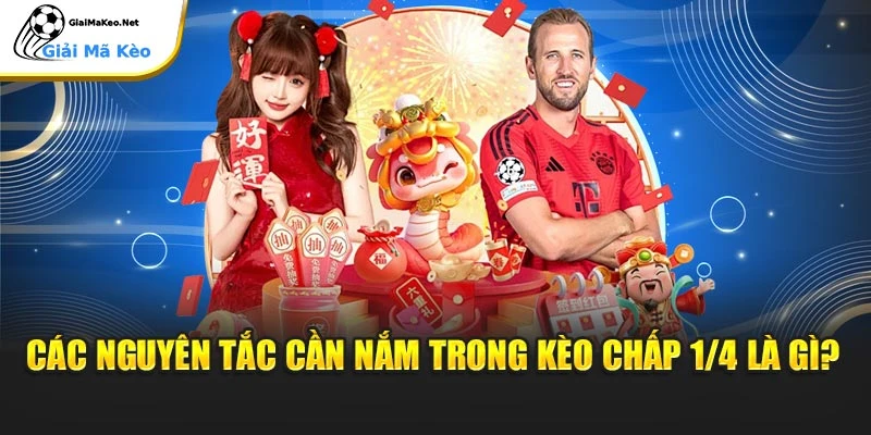 Các nguyên tắc cần nắm trong kèo chấp 1/4 là gì?