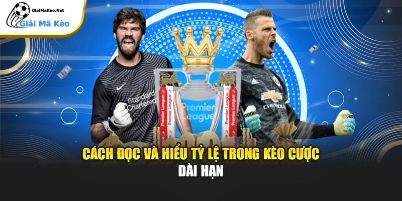 Cách đọc và hiểu tỷ lệ trong kèo cược dài hạn