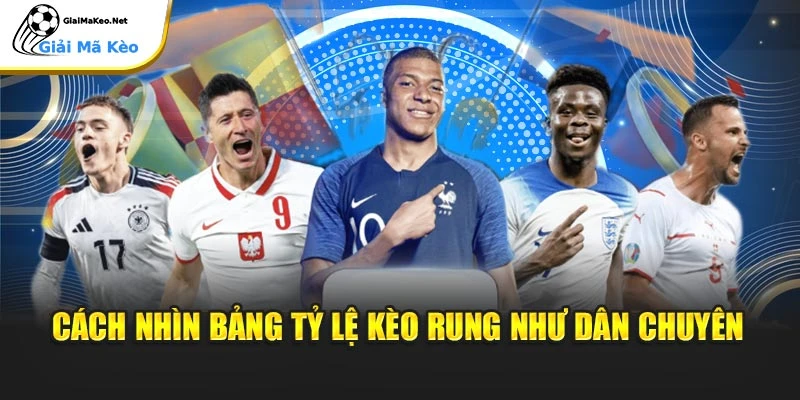 Cách nhìn bảng tỷ lệ kèo rung như dân chuyên