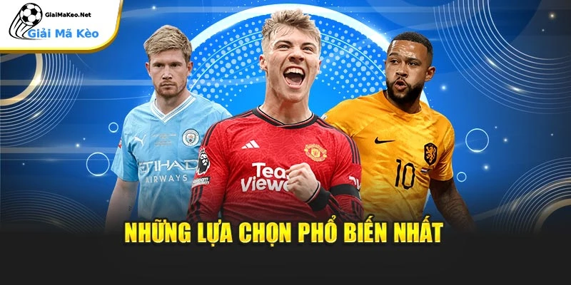 Những lựa chọn phổ biến nhất